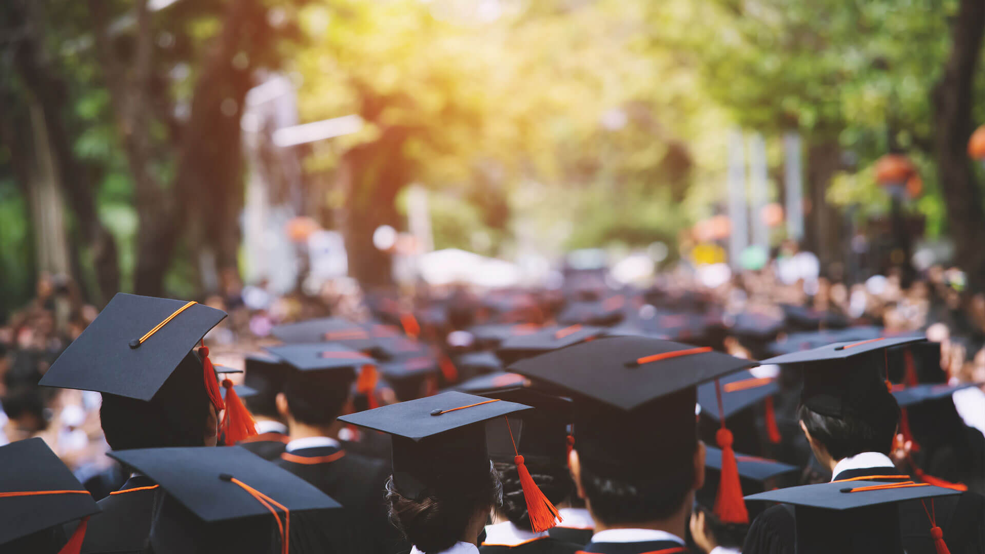 Single award background image hero - side