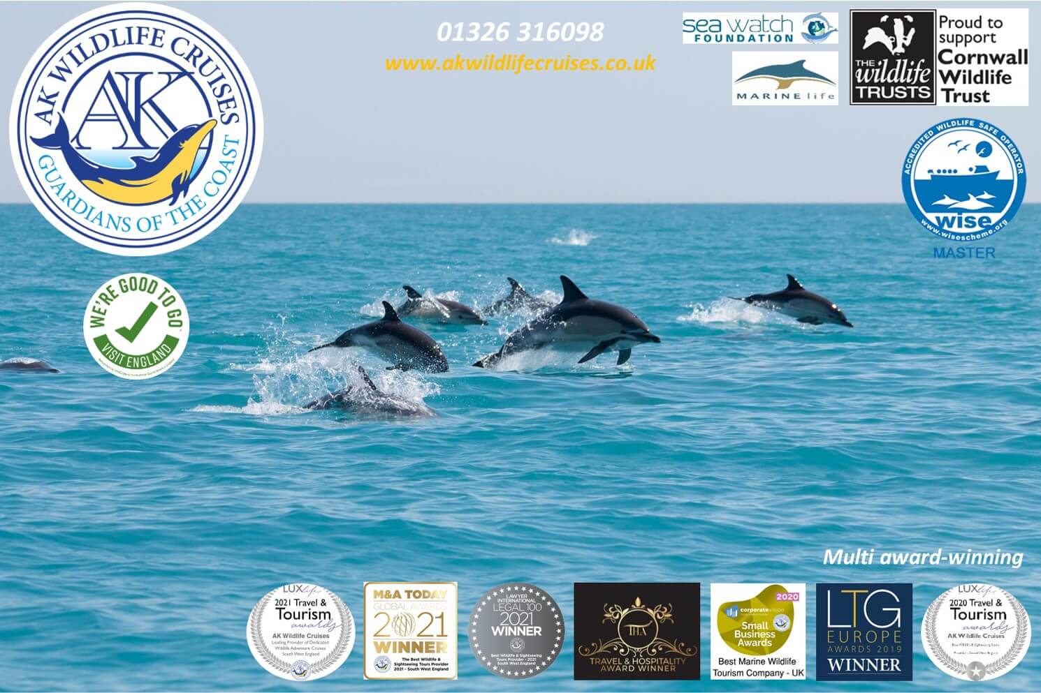 Winner small image - AK Wildlife Cruises