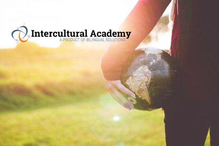 Winner small image - Bilingual Solutions V.O.F. Nkobi/Jandausch