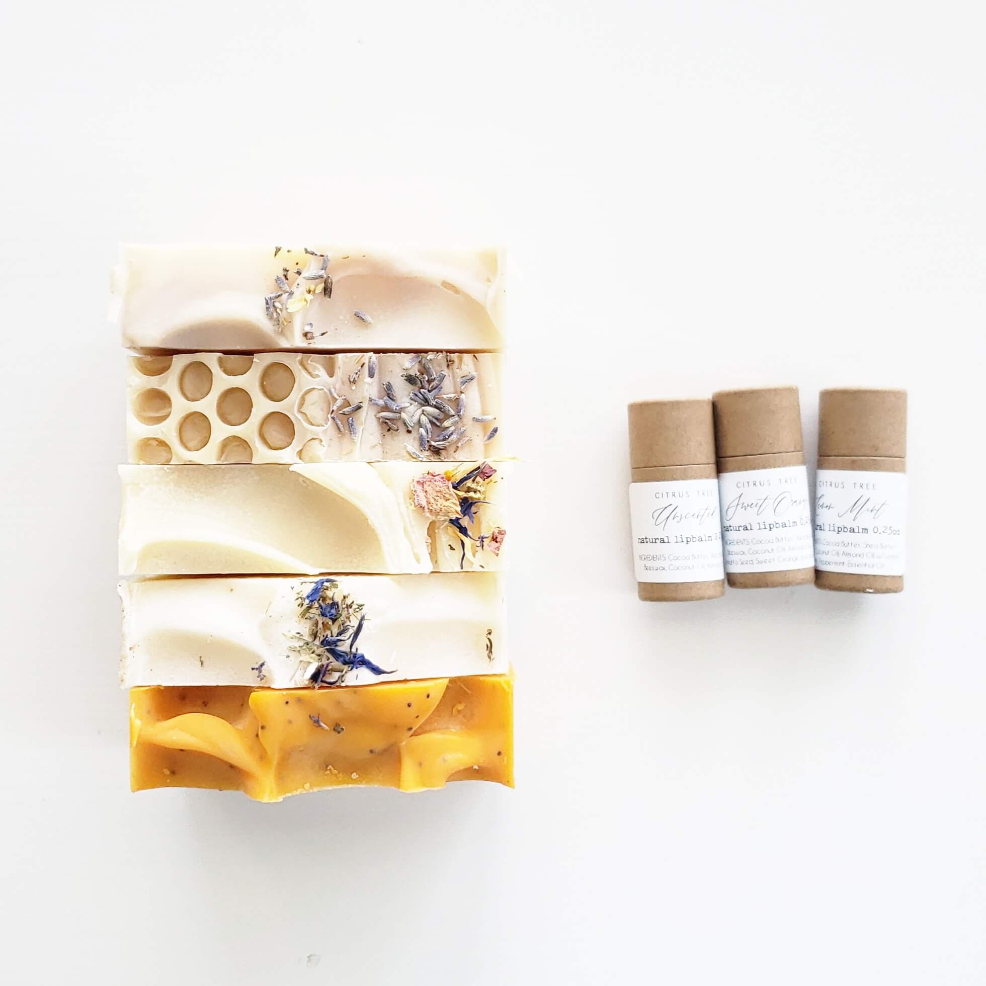 Winner small image - Citrus Tree