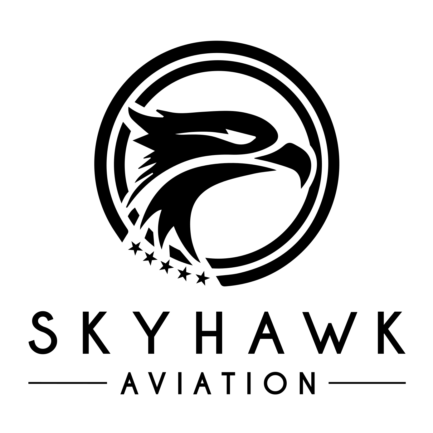 Winner small image - Skyhawk Aviation