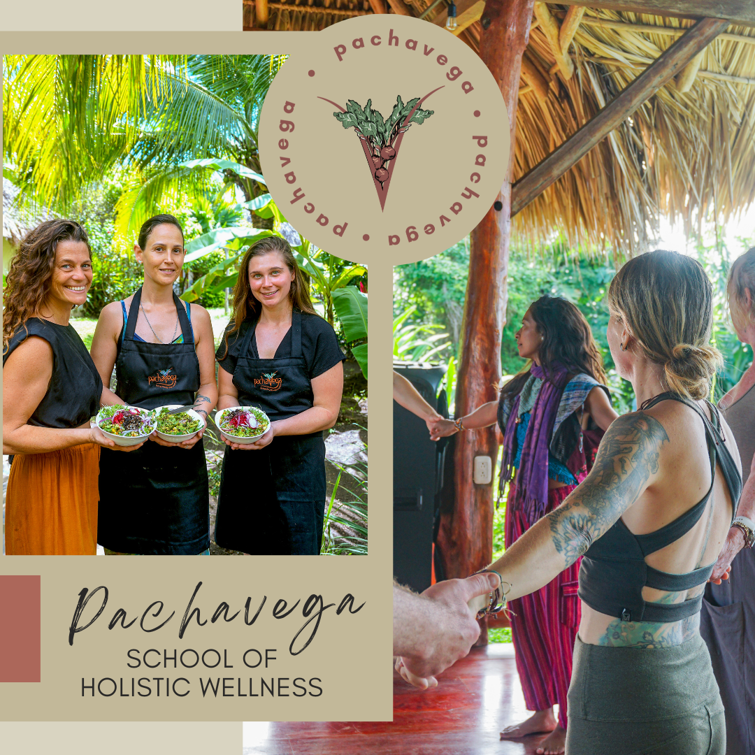 Winner small image - Pachavega Living Foods Education