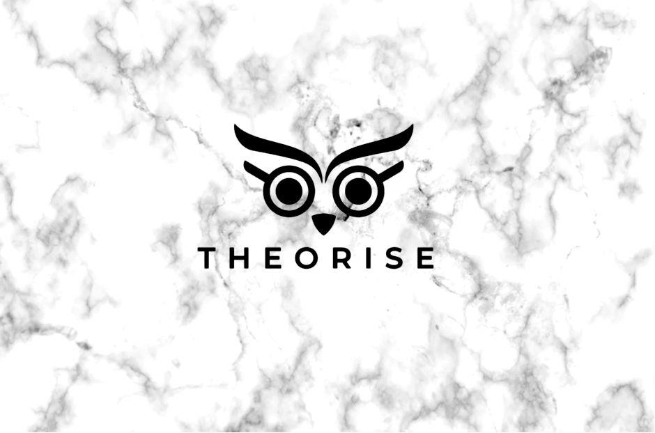 Winner small image - Theorise Ltd