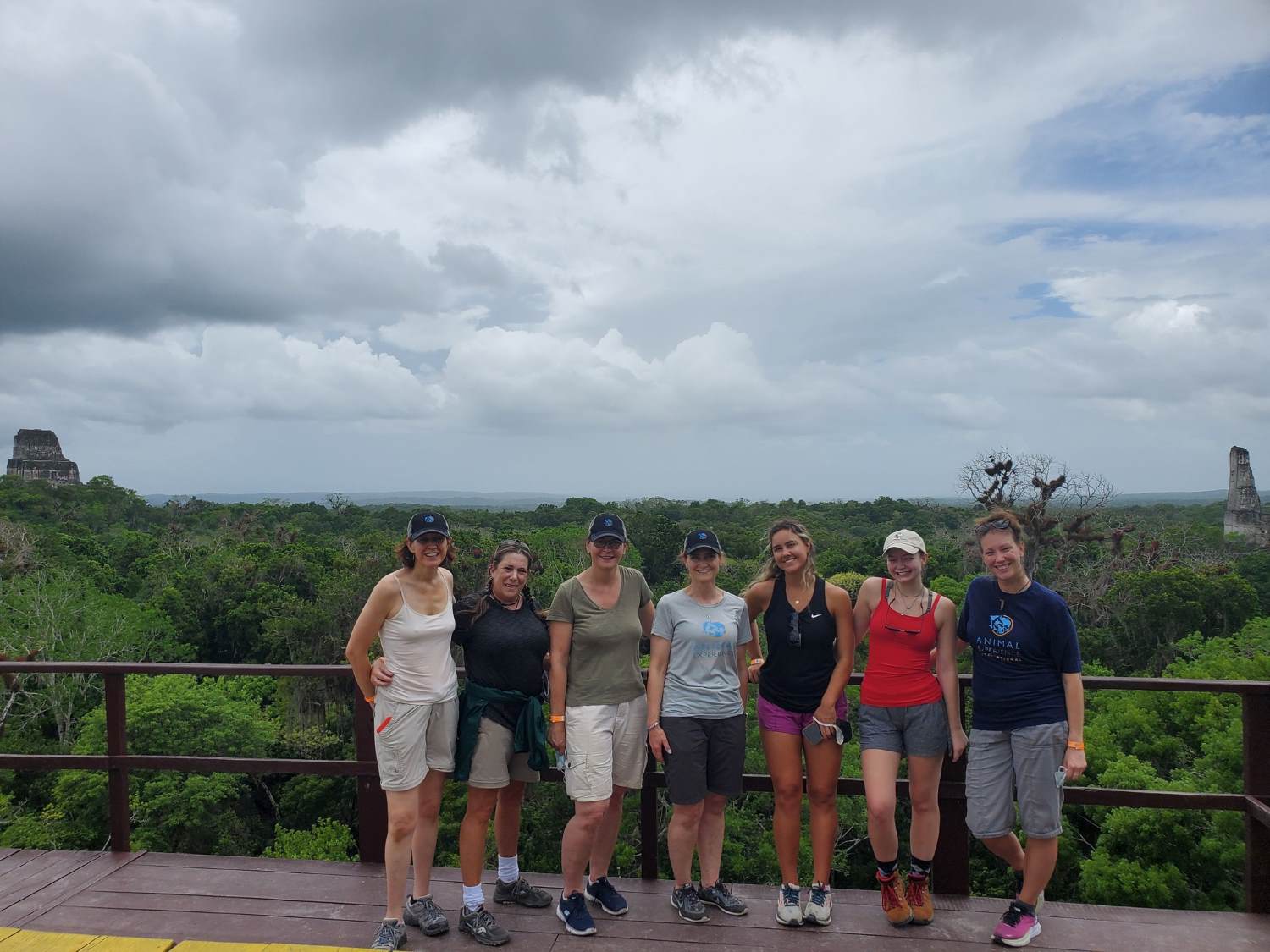 Winner small image - Animal Experience International