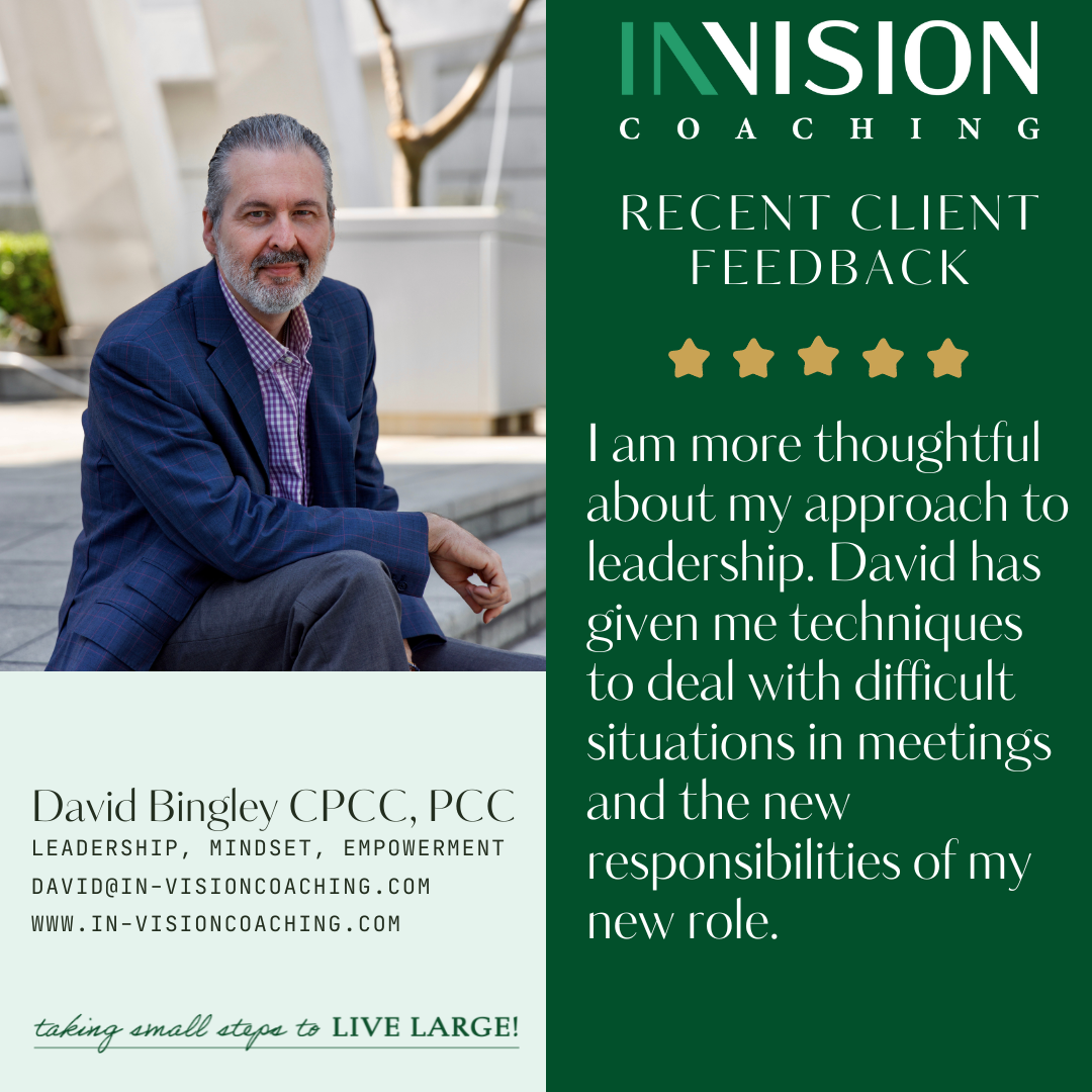 Winner small image - In-Vision Coaching