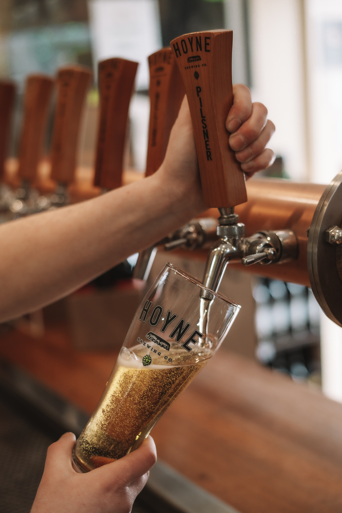 Winner small image - Hoyne Brewing Company