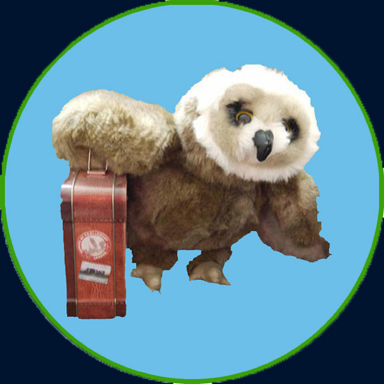 Winner small image - Owlbut’S World Of Learning