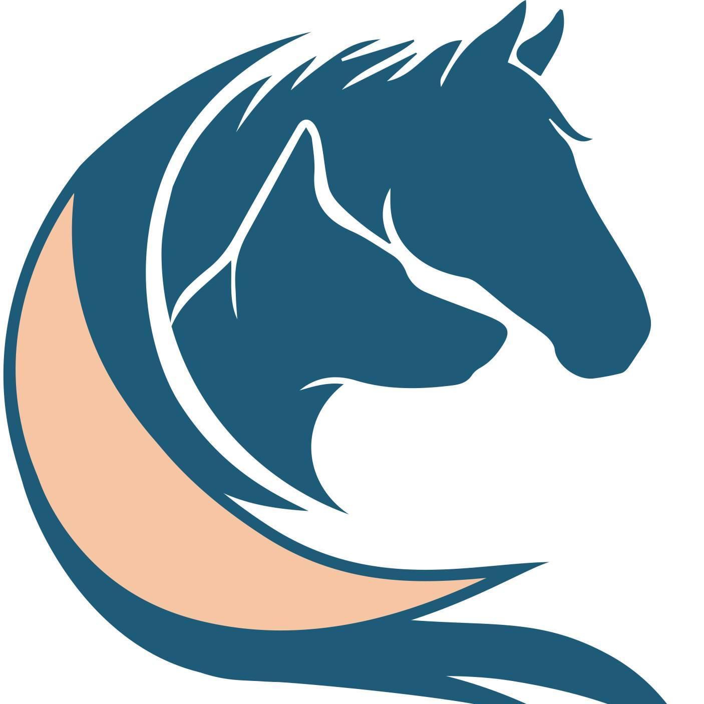 Winner small image - Equi-nine UK LTD