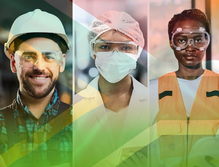 Winner small image - Intell Group (Pty) Ltd