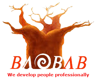 Winner small image - Baobab Development Solutions