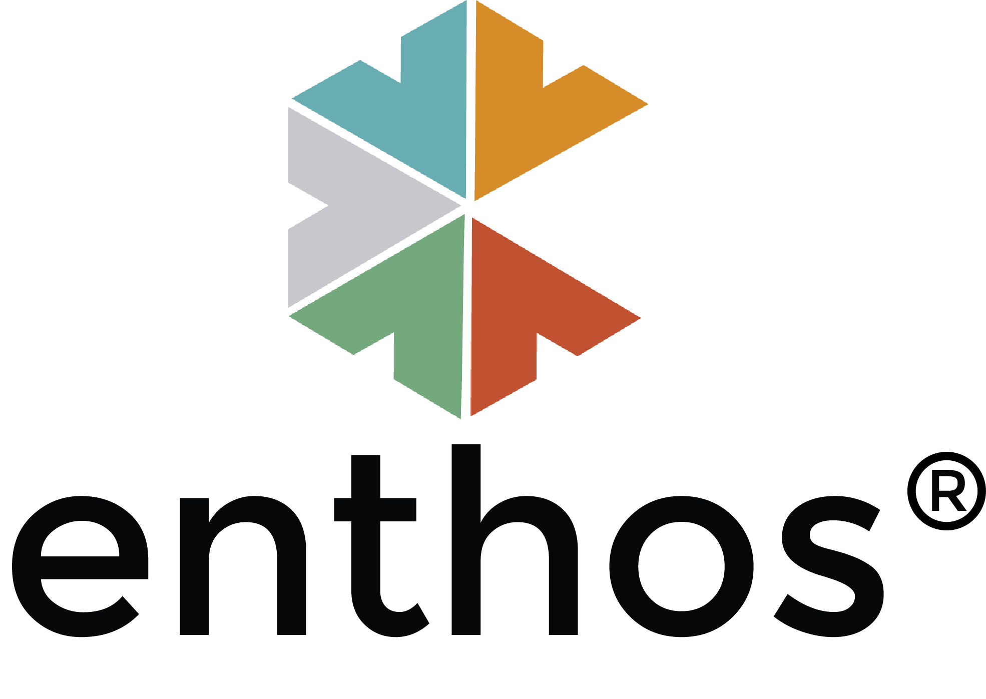 Winner small image - Grupo Enthos