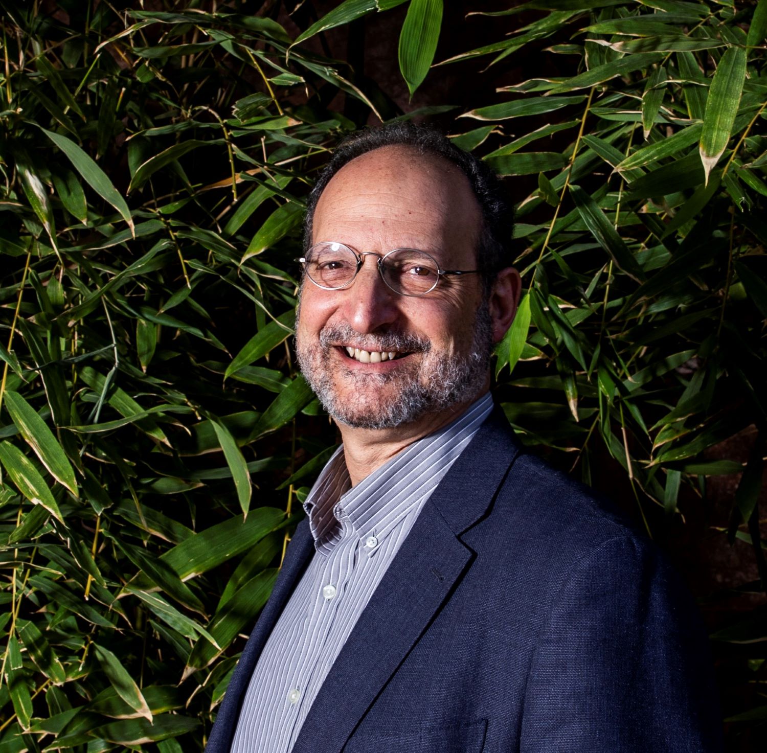 Winner small image - Nova Insights