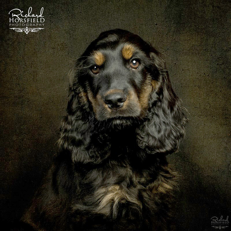 Winner small image - Richard Horsfield Photography