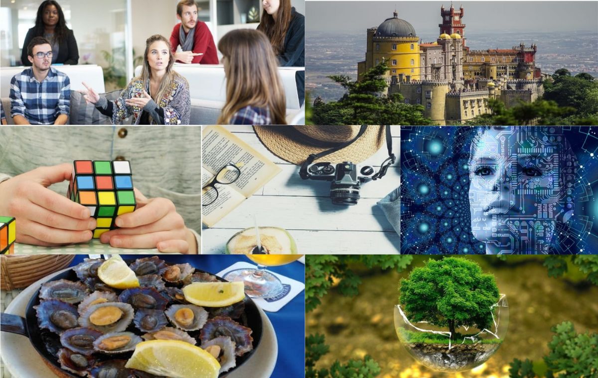 Winner small image - Pássaro no Ombro