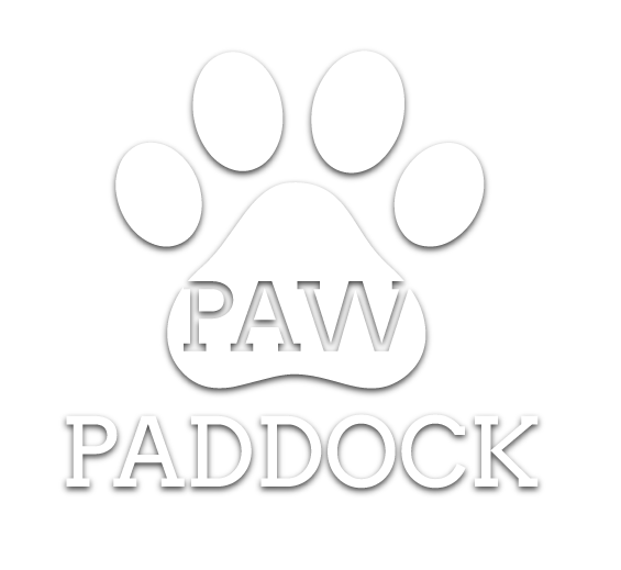 Winner small image - Paw Paddock