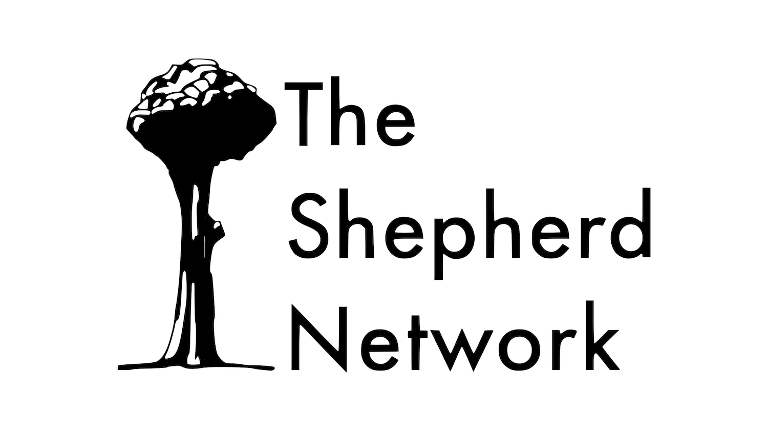 Winner small image - The Shepherd Network