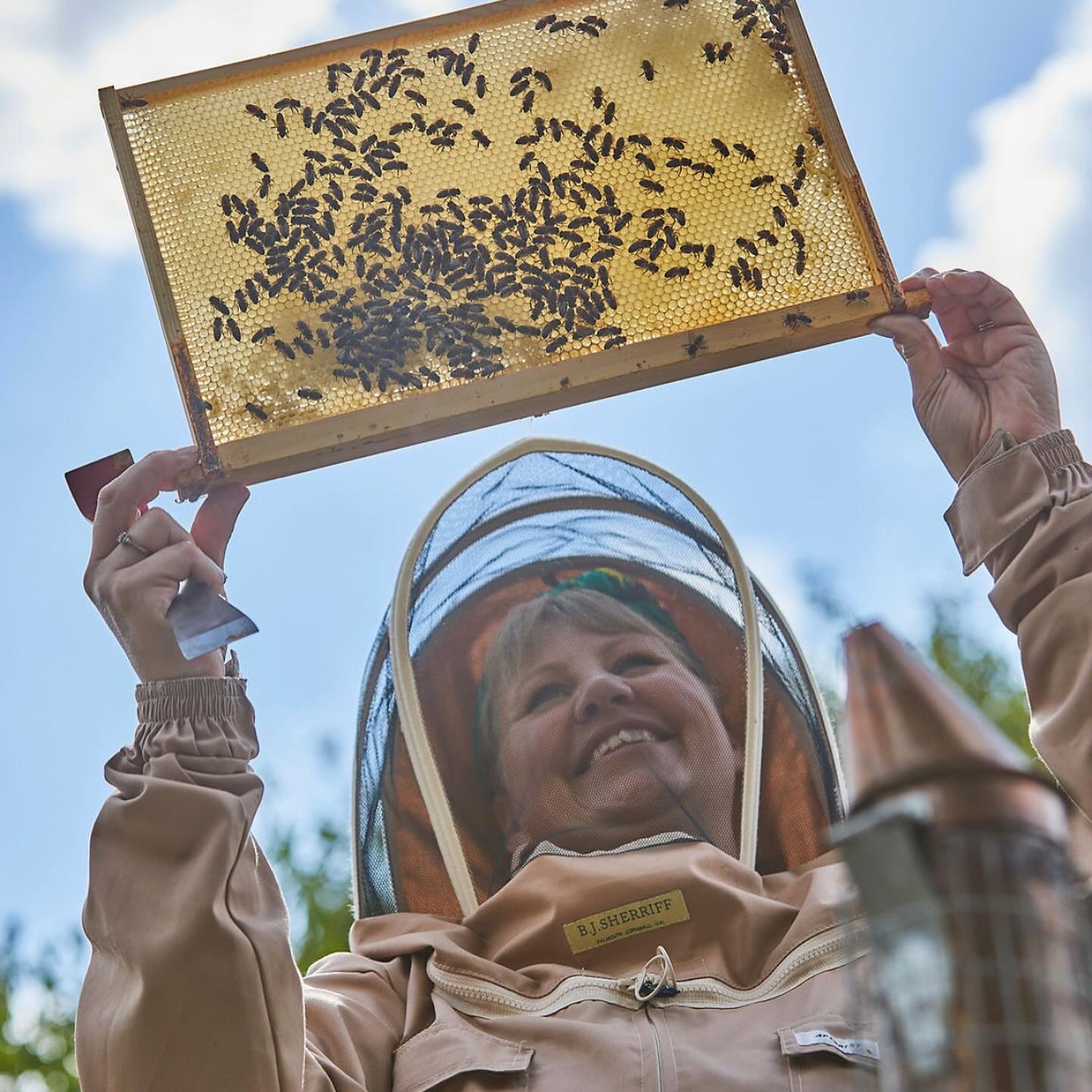 Winner small image - Sunnyfields Apiaries