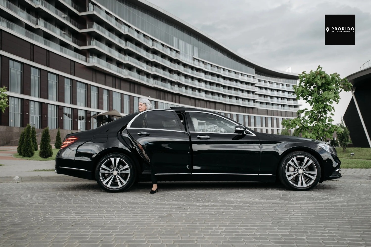 Winner small image - prorido