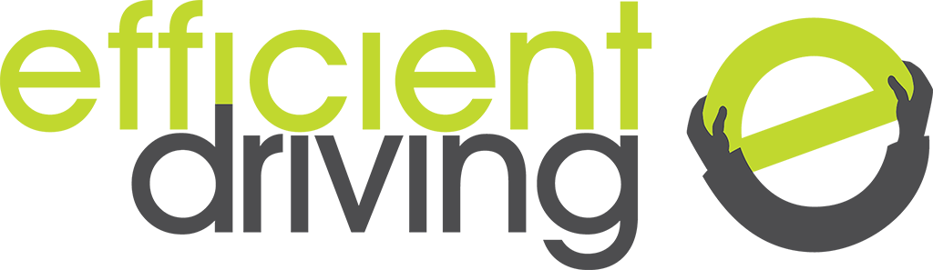 Winner small image - Efficient Driving sas