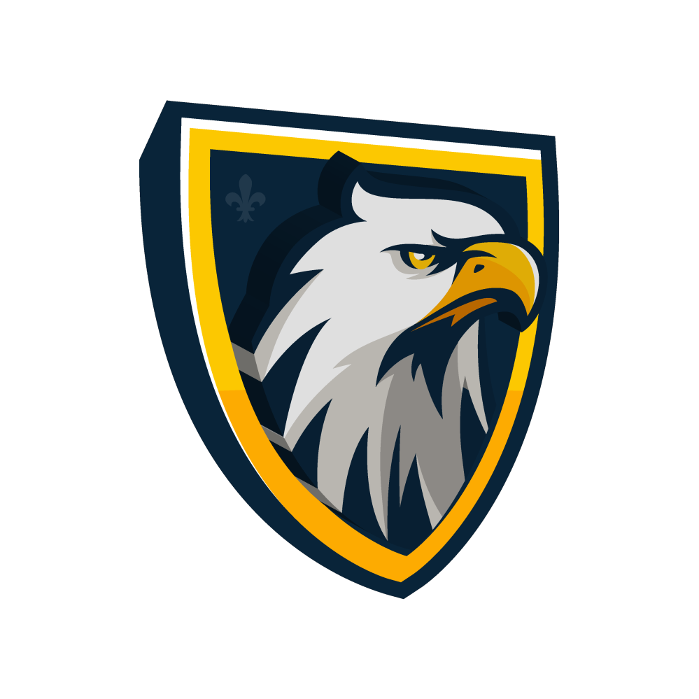 Winner small image - Motion Falcon