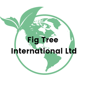Winner small image - Fig Tree International Ltd