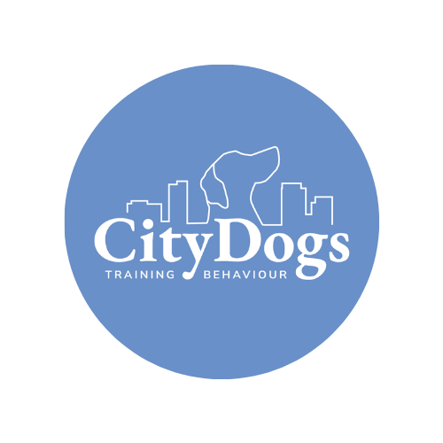 Winner small image - City Dogs Training & Behaviour